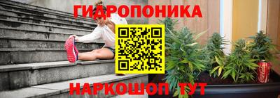 спиды Ливны